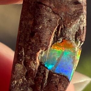 13ct Gorgeous Mexican Fire Opal Specimen Rough Matrix Loose Gemstone M